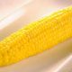 Corn on the Cob